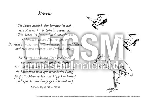 M-Störche-Hey.pdf